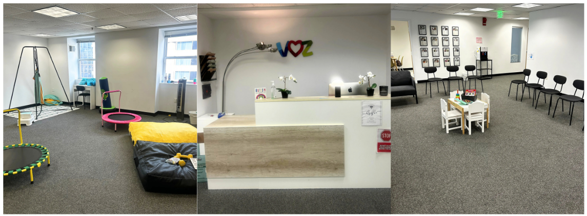 The Voz Institute