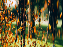 leaf blower