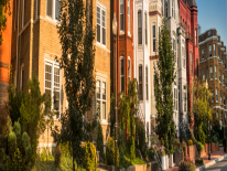 Rowhomes in DC
