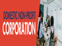 Domestic Nonprofit Corporation Domestic Nonprofit Corporation